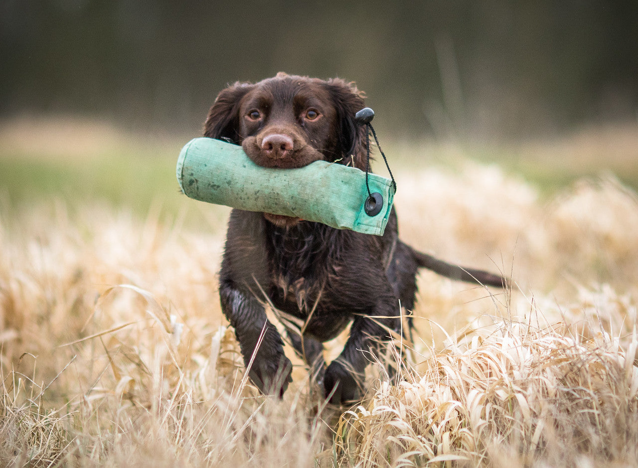 Max Strength Premium Canine Joint Supplement - Adult Working & Performance From