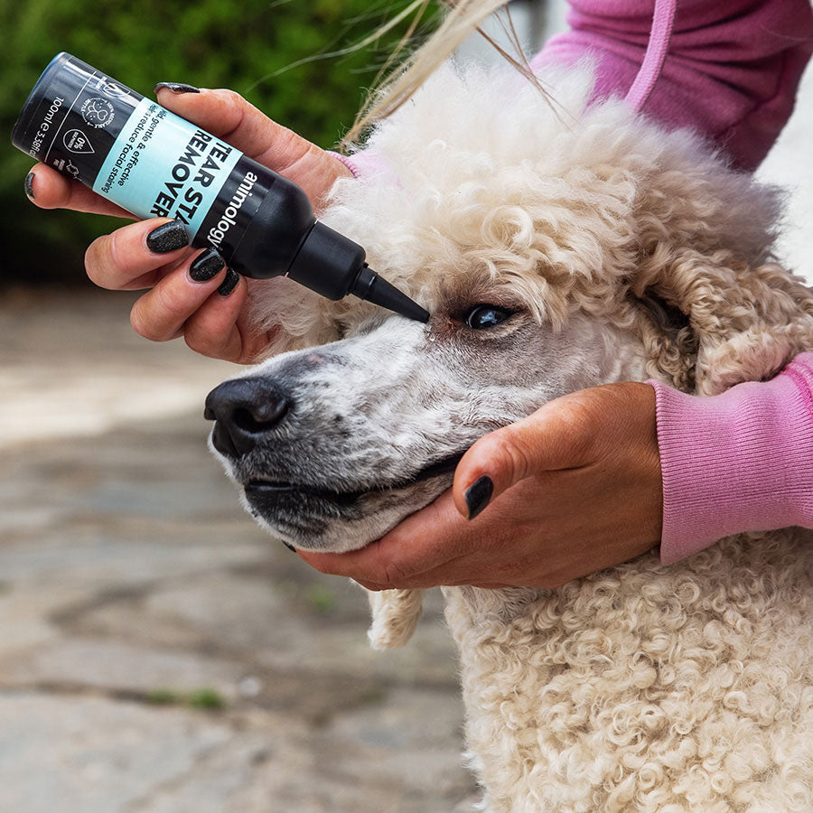 Animology TEAR STAIN REMOVER - Winston and Porter