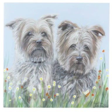 Julia Pankhurst Bouncing Buddies Dog Greetings Card - Various