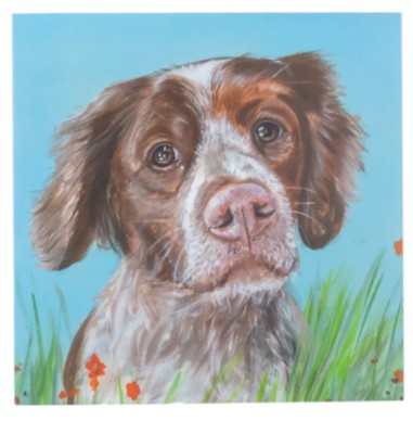 Julia Pankhurst Bouncing Buddies Dog Greetings Card - Various