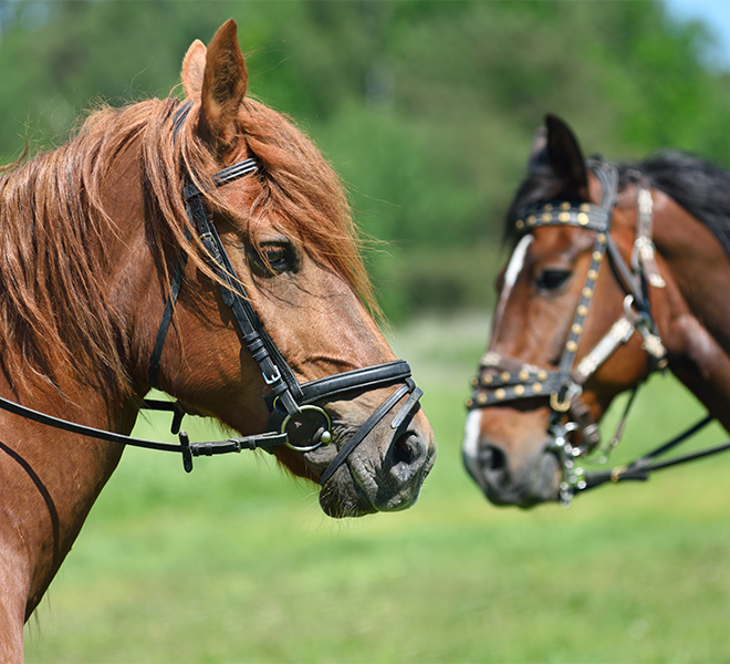 What Interests And Inspires You About Nutrition And Supplements?