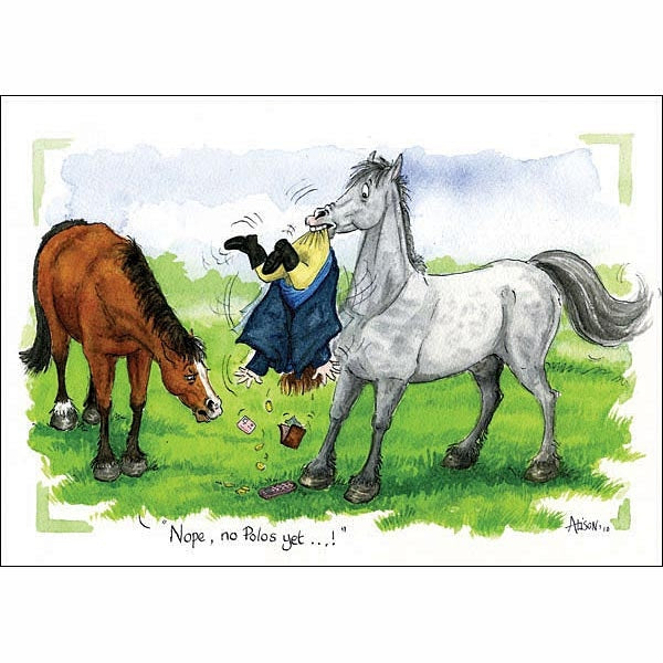 Alison's Horses Cards