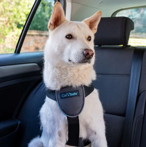 Car Safe Crash Tested Car Restraint Dog Harness BLUE