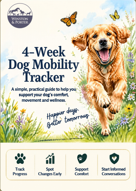 🐾Free 4 Week Mobility Tracker - Download for FREE!!⭐