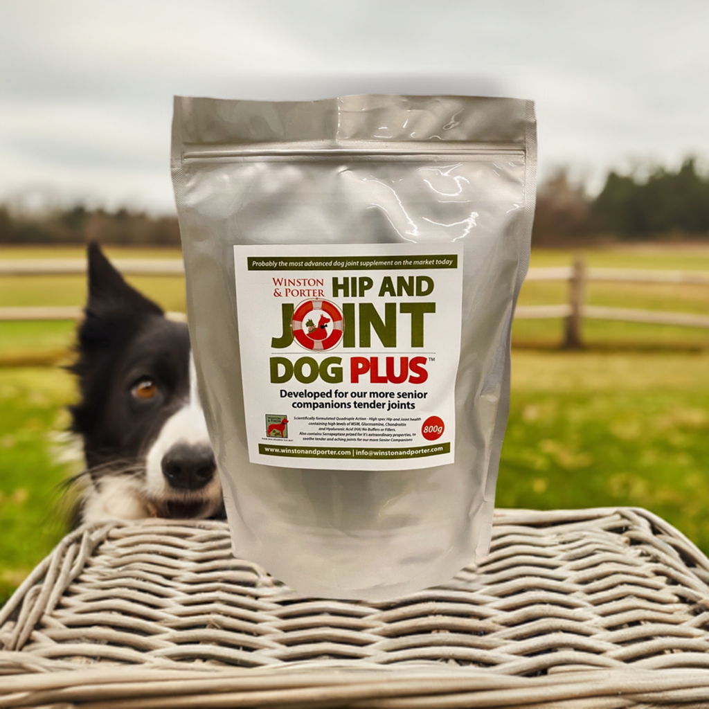 Hip and Joint Dog PLUS