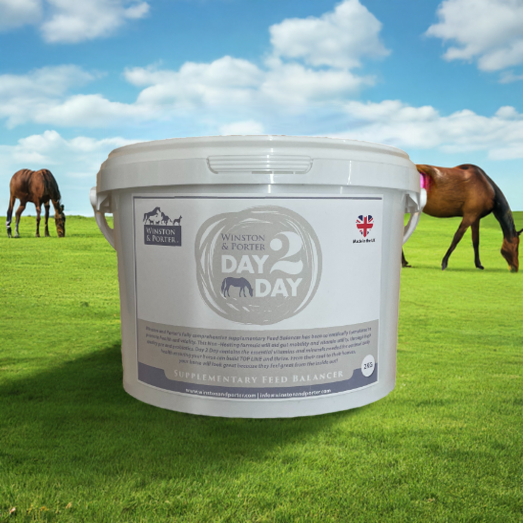 Day 2 Day Equine Supplementary Feed Balancer