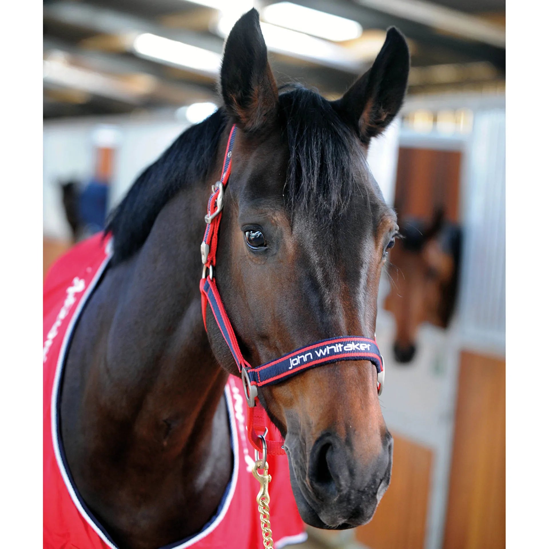 John Whitaker Airflow Headcollar Sets