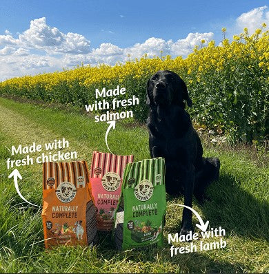 Adult Naturally Complete Grain Free LAMB Dog Food -  SUBSCRIBE & SAVE 15% FROM