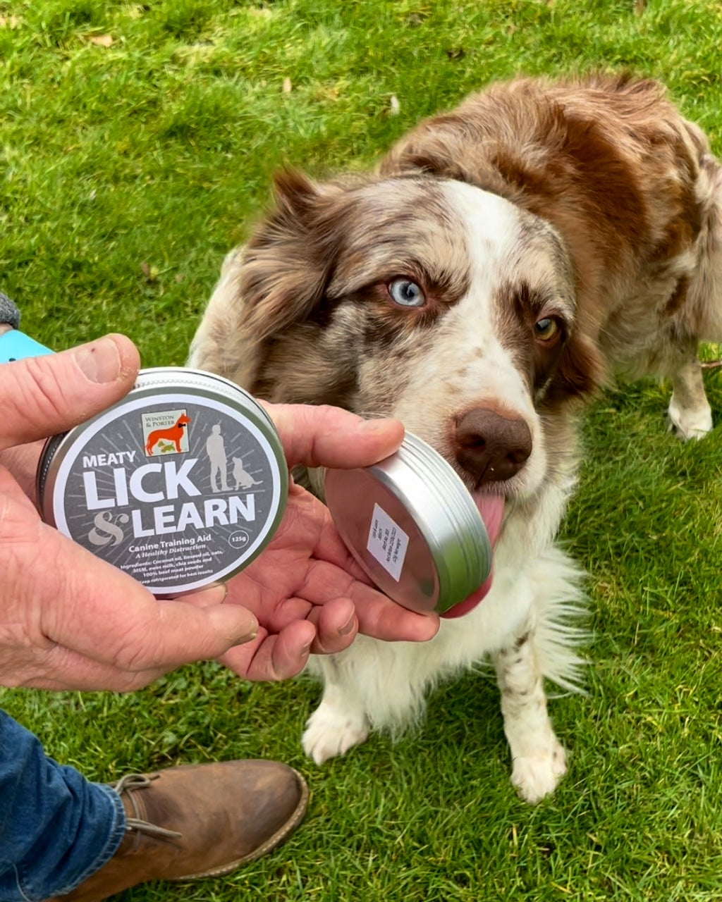Lick & Learn - Winston and Porter