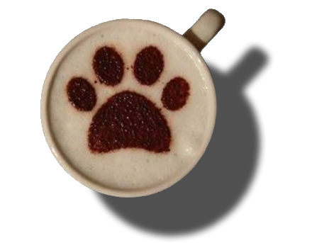 Cappawccino  - The healthy coffee alternative for dogs - Winston and Porter