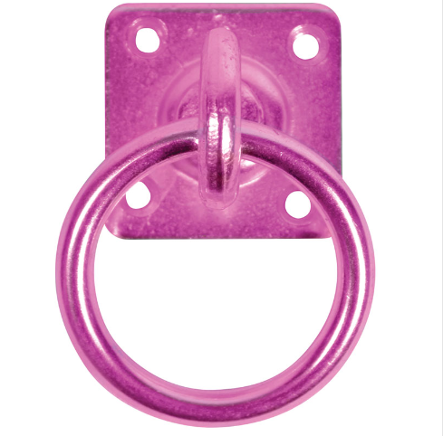 Perry Equestrian Swivel Tie Ring on Plate
